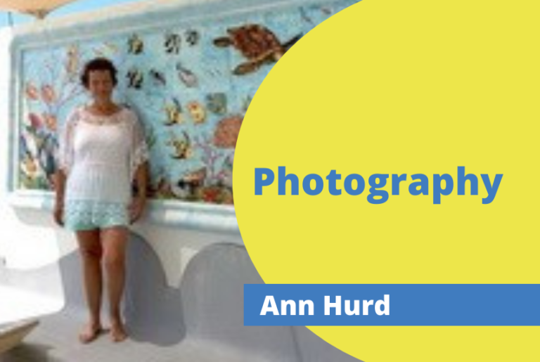 Ann Hurd