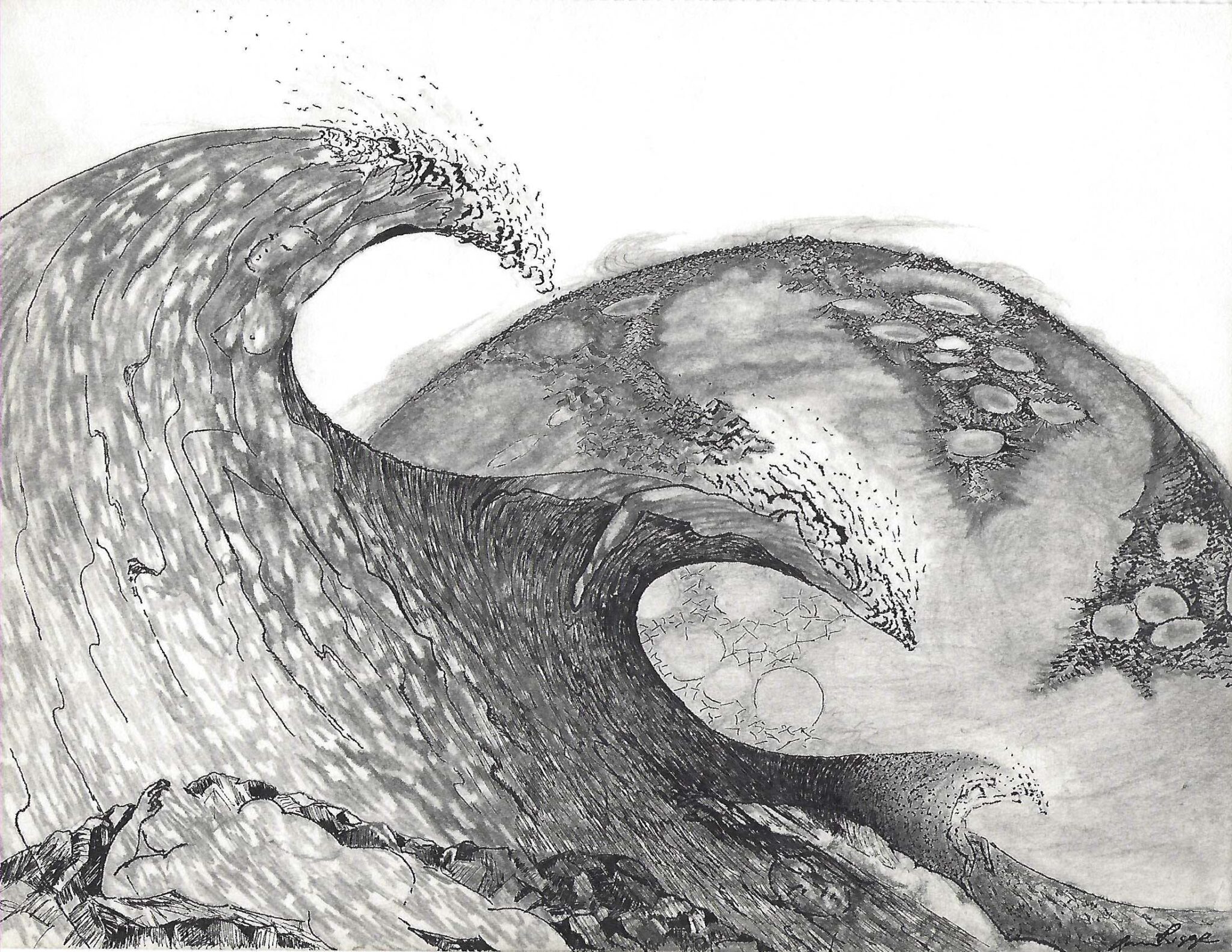Dan Riggs - North Coastal Art Gallery
